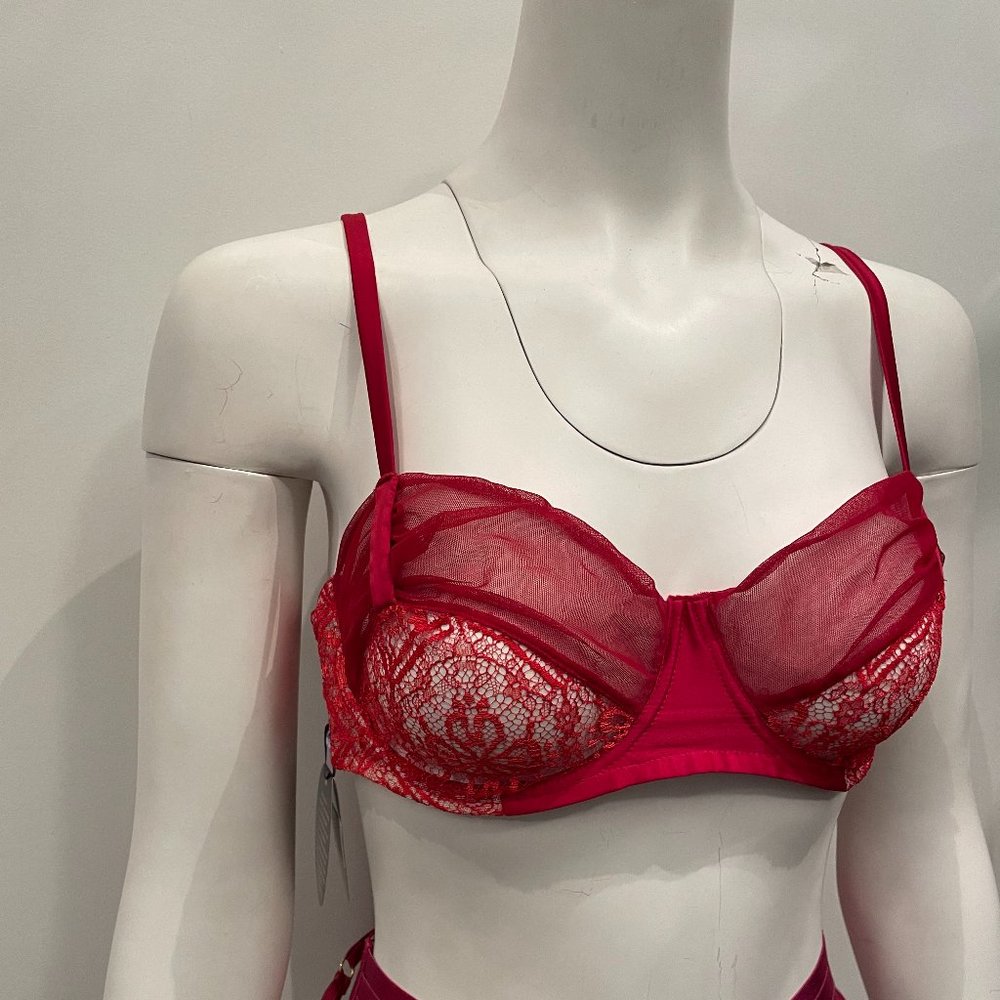 BNWT Les Jupons de Tess Gisele Lace Mesh Sexy Balconette Bra Red 34D